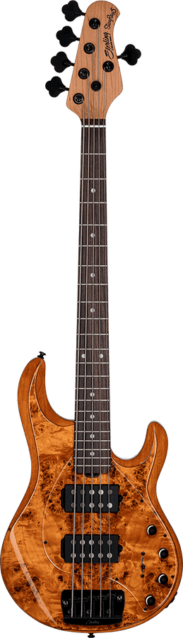 Poplar Burl - Amber - 2 Humbuckers - 5 strings