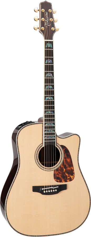 Dreadnought Cutaway Eletro P10DC