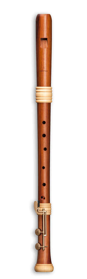 Édition Rêve Tenor TE-4428 - Ameixeira (Digitação Barroca)