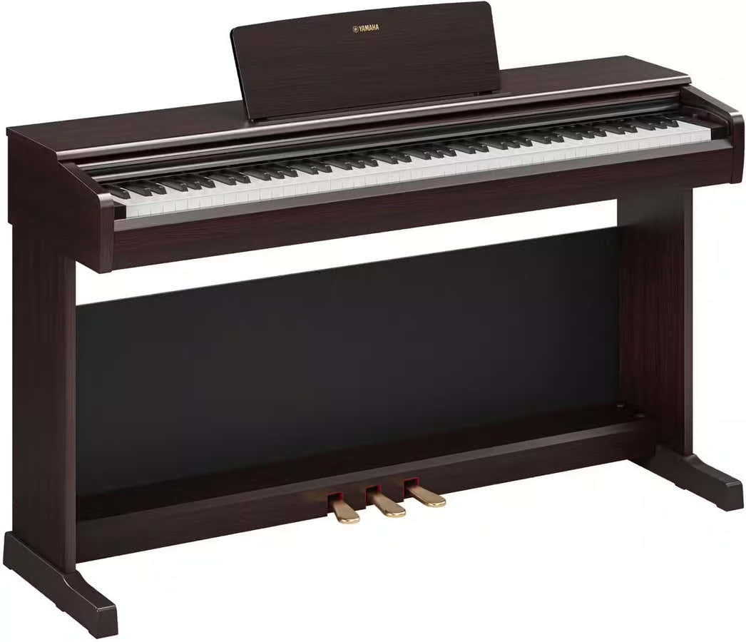 YDP-146 Rosewood