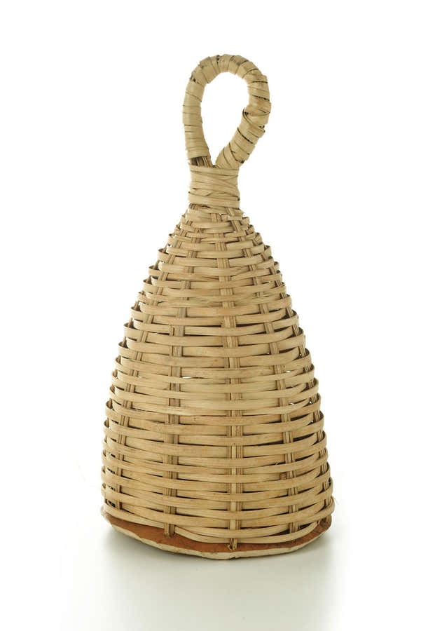 MC006 - CAXIXI PALM SEEDS - MOYEN