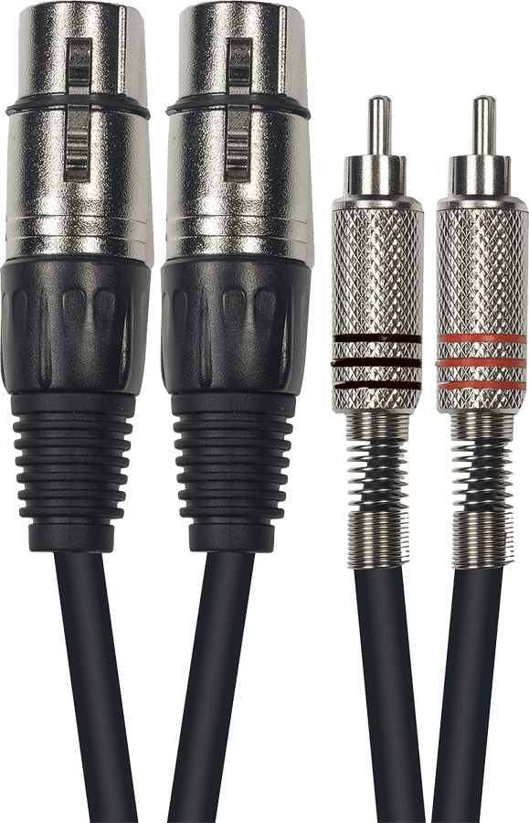 K10