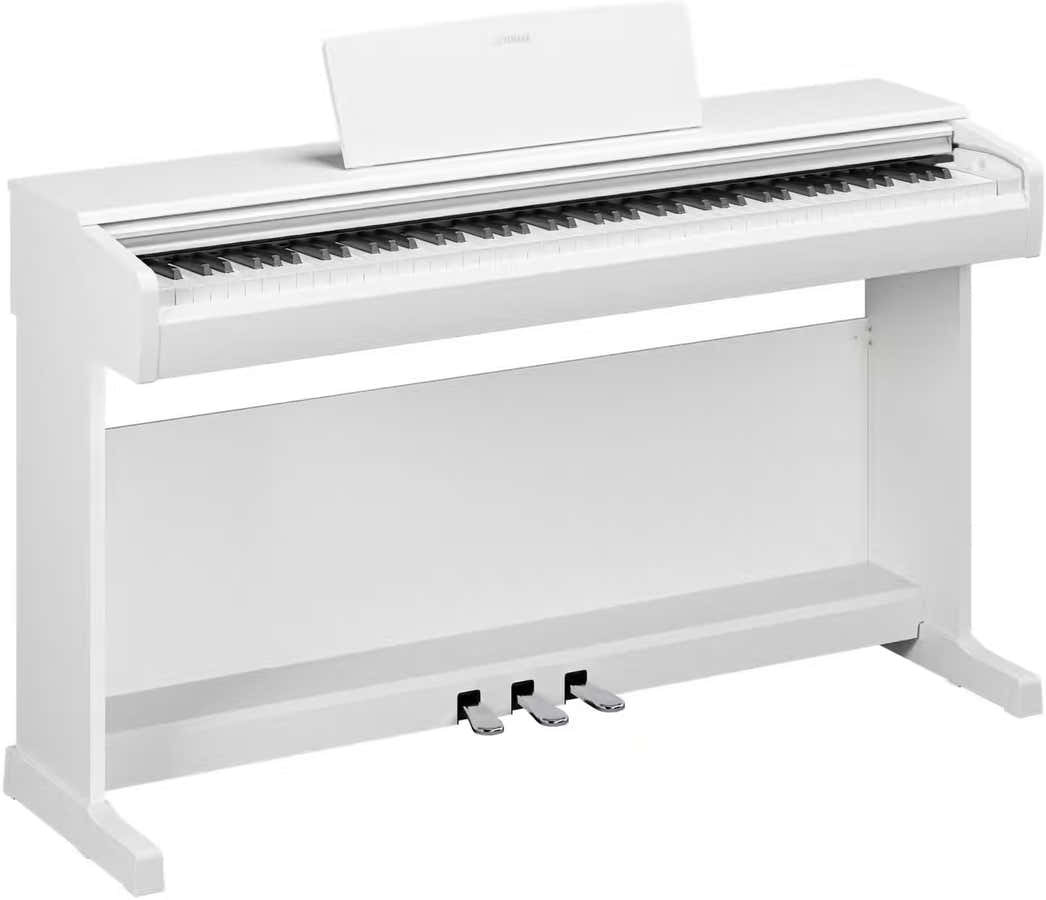 YDP-146 White