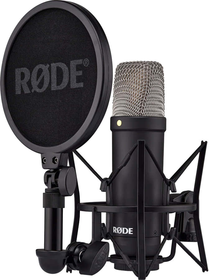 NT1 Signature Preto