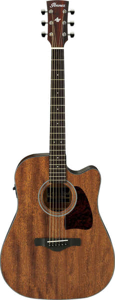 Ibanez AW54CE-OPN Natural Artwood