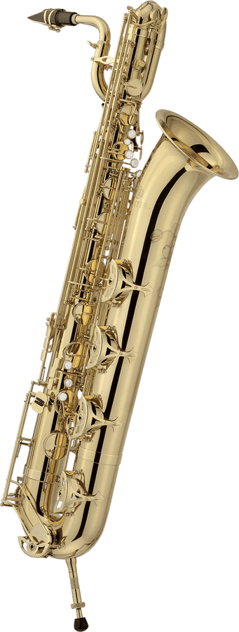 JBS1100