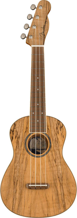 Zuma Uke Exótico Concerto Wn Spalted Maple