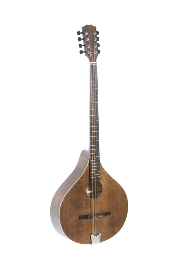 Bouzouki Irlandês Pro Arte Antique Antique Inteiramente maciço