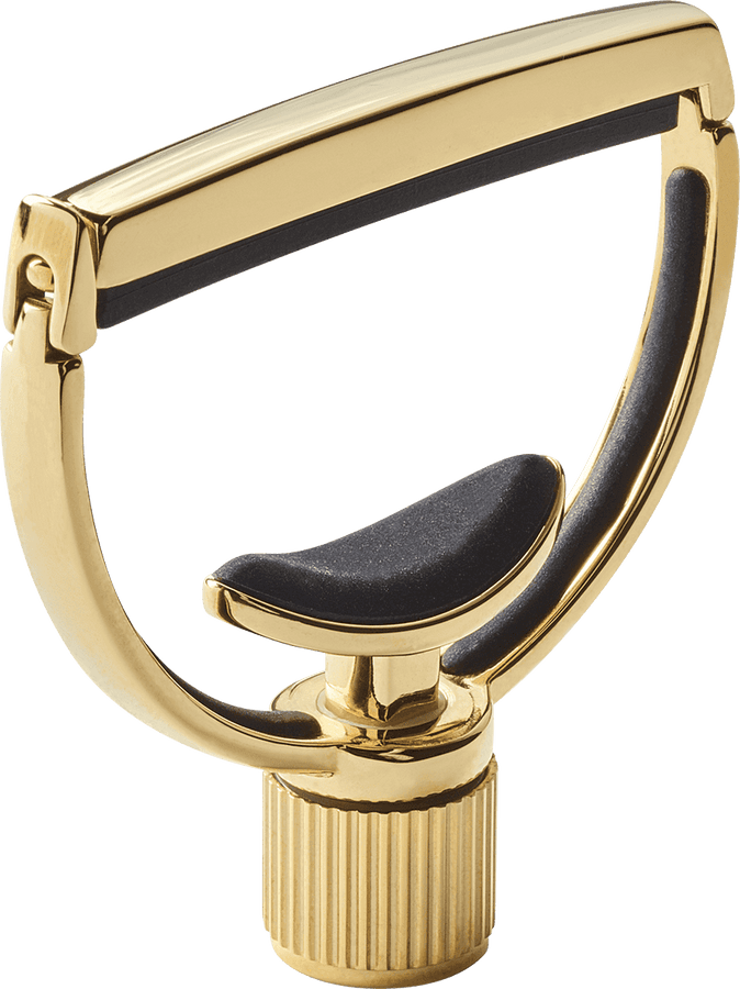 Heritage Guitarra Style 1 Standard Dourado