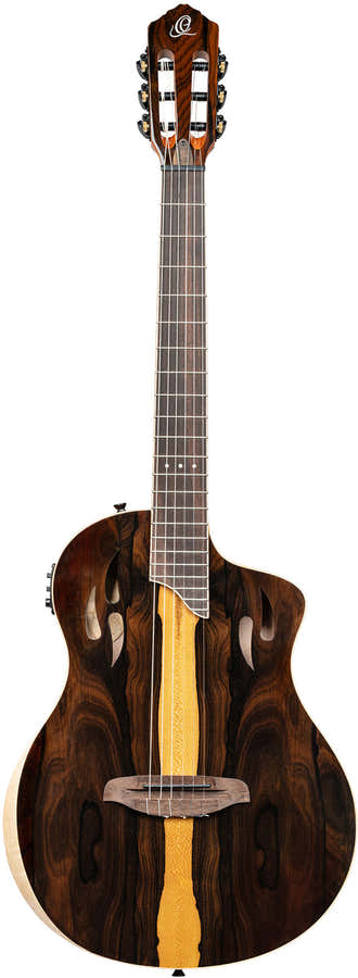 TourPlayer 4/4 + saco profissional