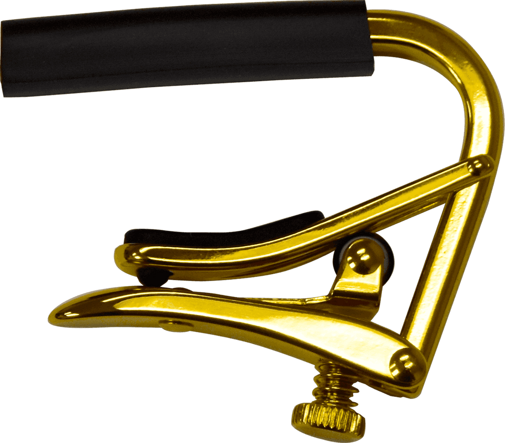 Ouro banjo