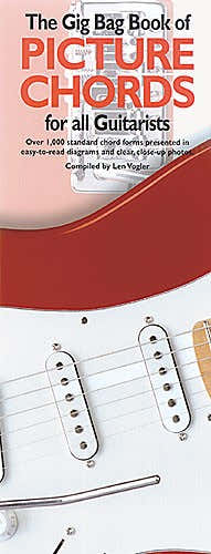 VOGLER LEONARD - GIG BAG BOOK OF PICTURE CHORDS GUITAR - GUITAR