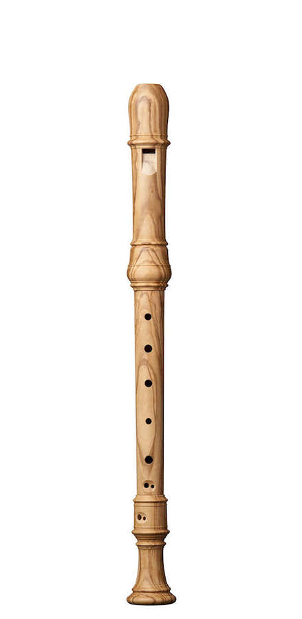 SUPERIO ALTO OLIVE WOOD2409