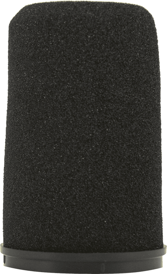 Windshield SM7B