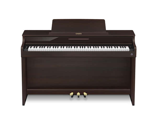 AP-550 Castanho