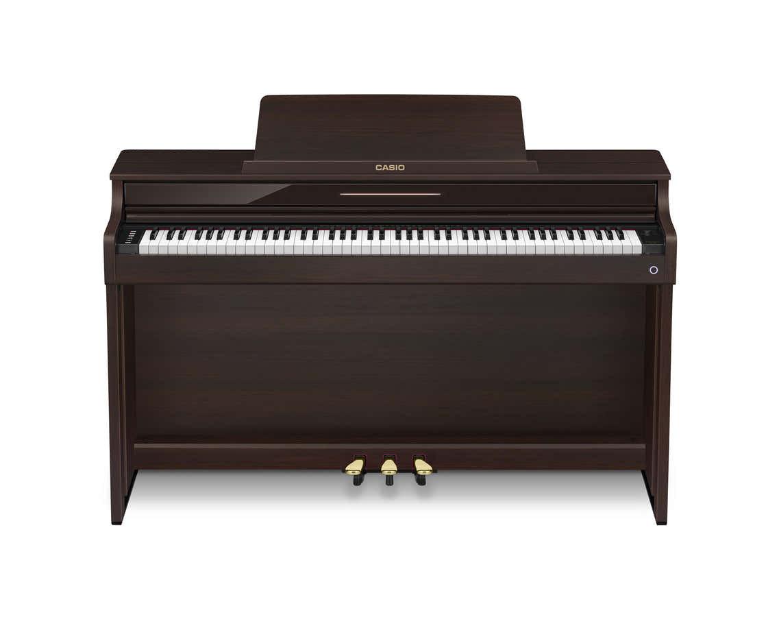 AP-550 Castanho