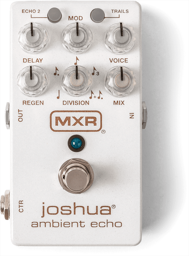 M309 Joshua Eco ambiente