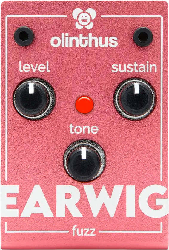 Earwig - Fuzz