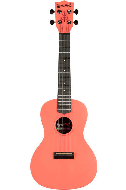 Waterman Concert Pó rosa reciclado
