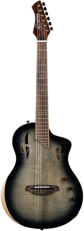 TourPlayer 4/4 + saco profissional