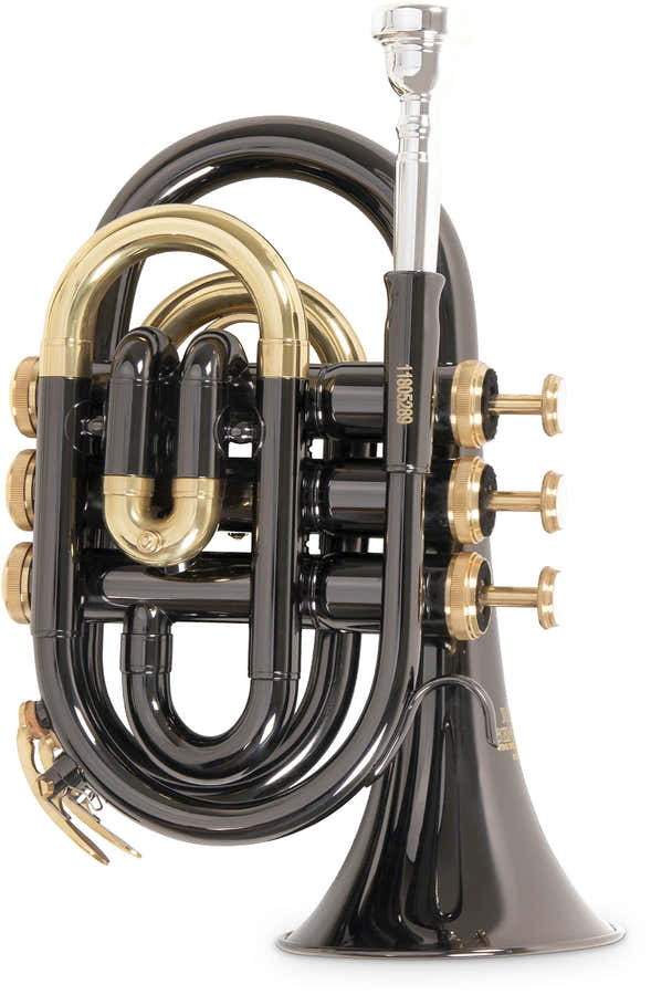 PT101K - BB BLACK