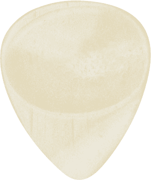 GUITAR PICK BONE