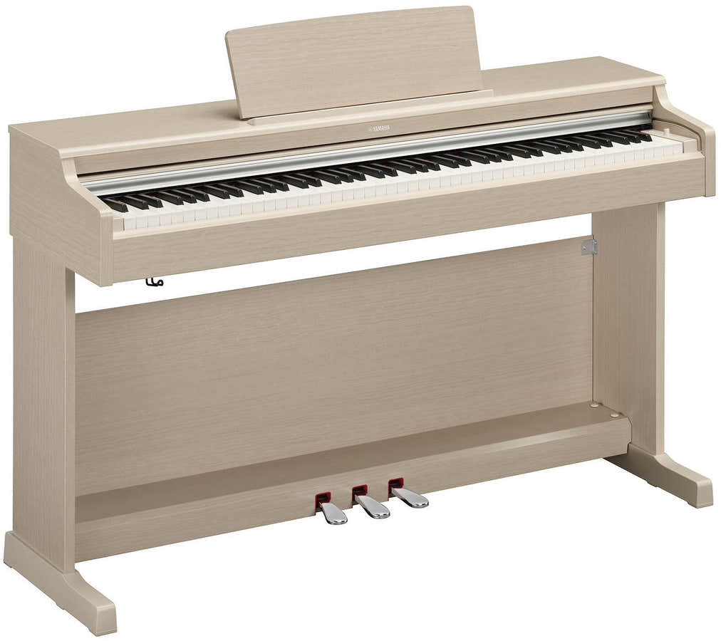 Arius YDP-165 Freixo claro
