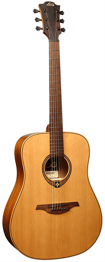 Tramontane T170D Dreadnought