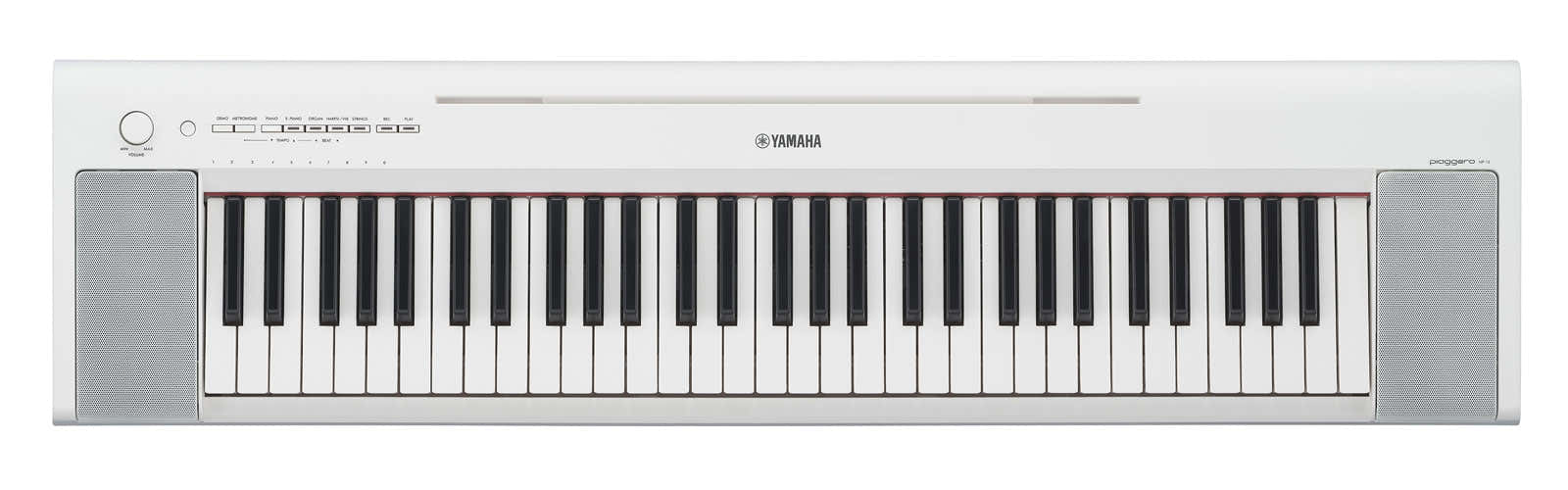 NP-15 Branco