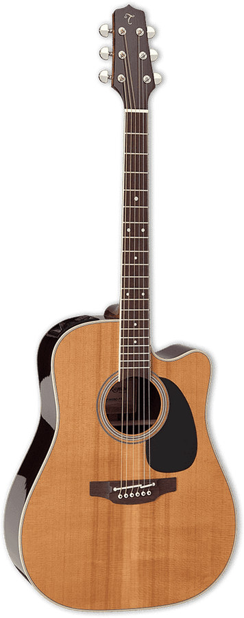 Japan Tt Dreadnought Cutaway Electro