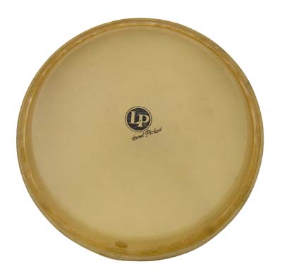 LPA640A - CONGA HEAD ASPIRE QUINTO 10"