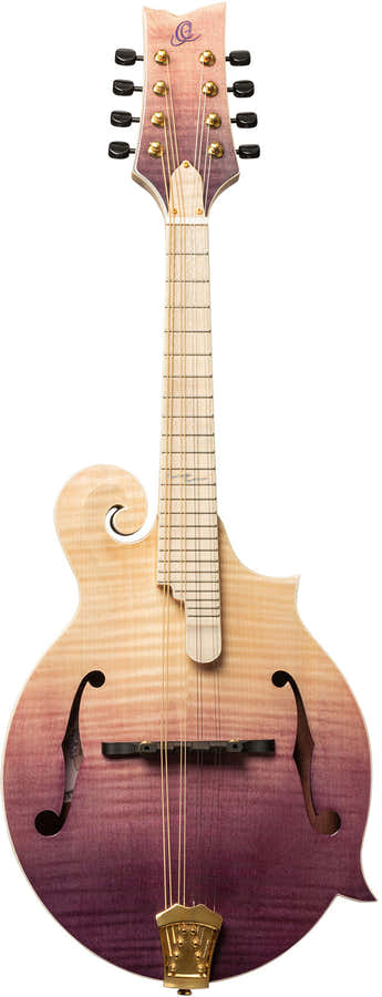 Americana Bandolim F-Style + Estojo de couro Croco