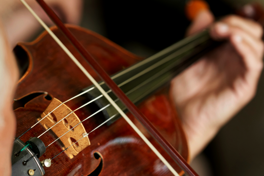 acessorios de violas