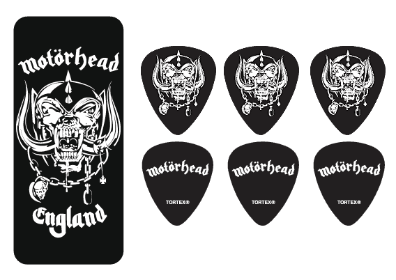 6 x Warpig Médio Caixa