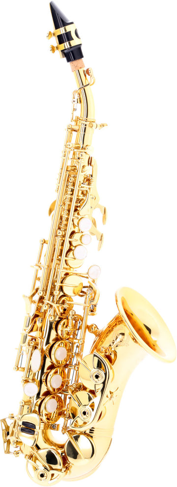 WSSC300 - Soprano Curvo Sib Envernizado