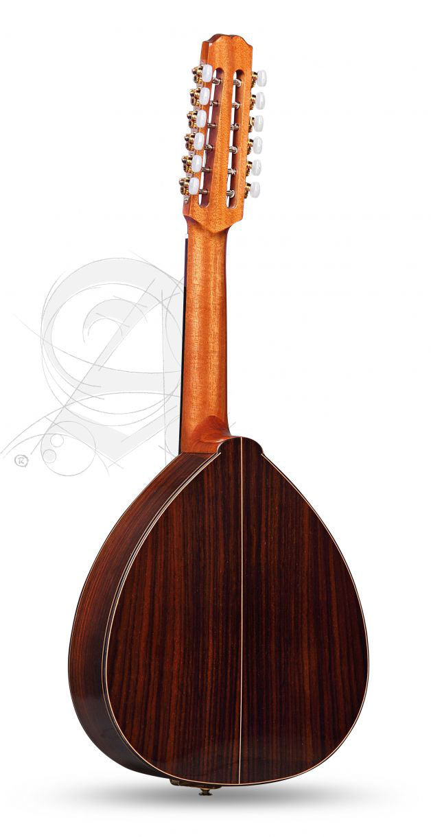 Conservatory L-4P Lutes + 9534 Gigbag
