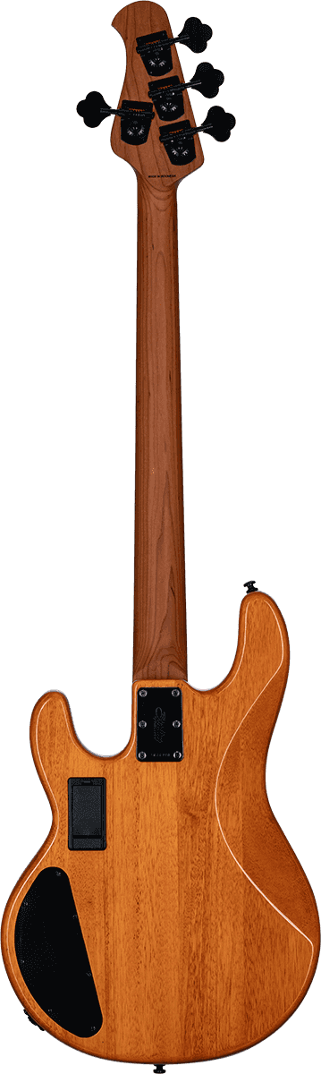 Ray 34 HH Poplar Burl Amber