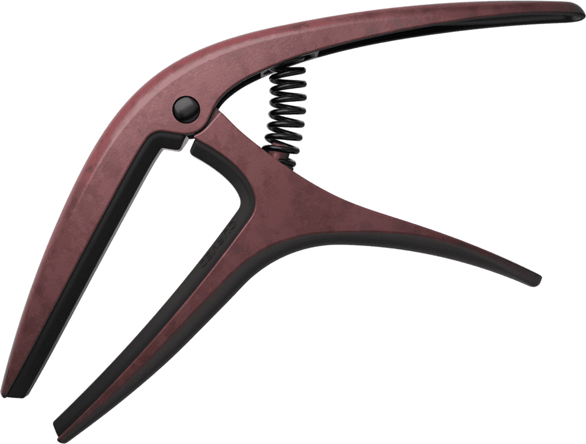 AXIS BRONZE