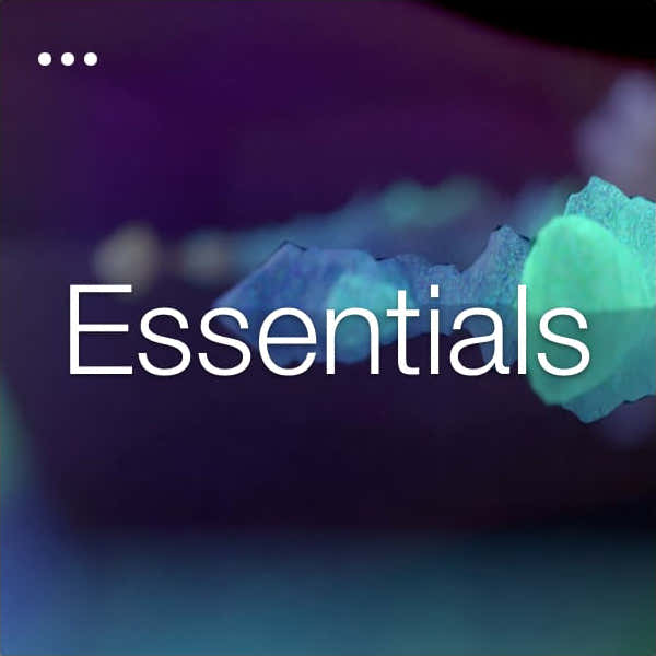 Pacote Essentials