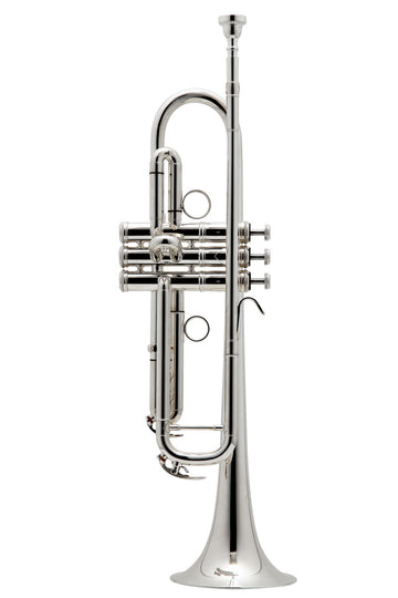 New Standard Sib Prateada - BE111-2-0
