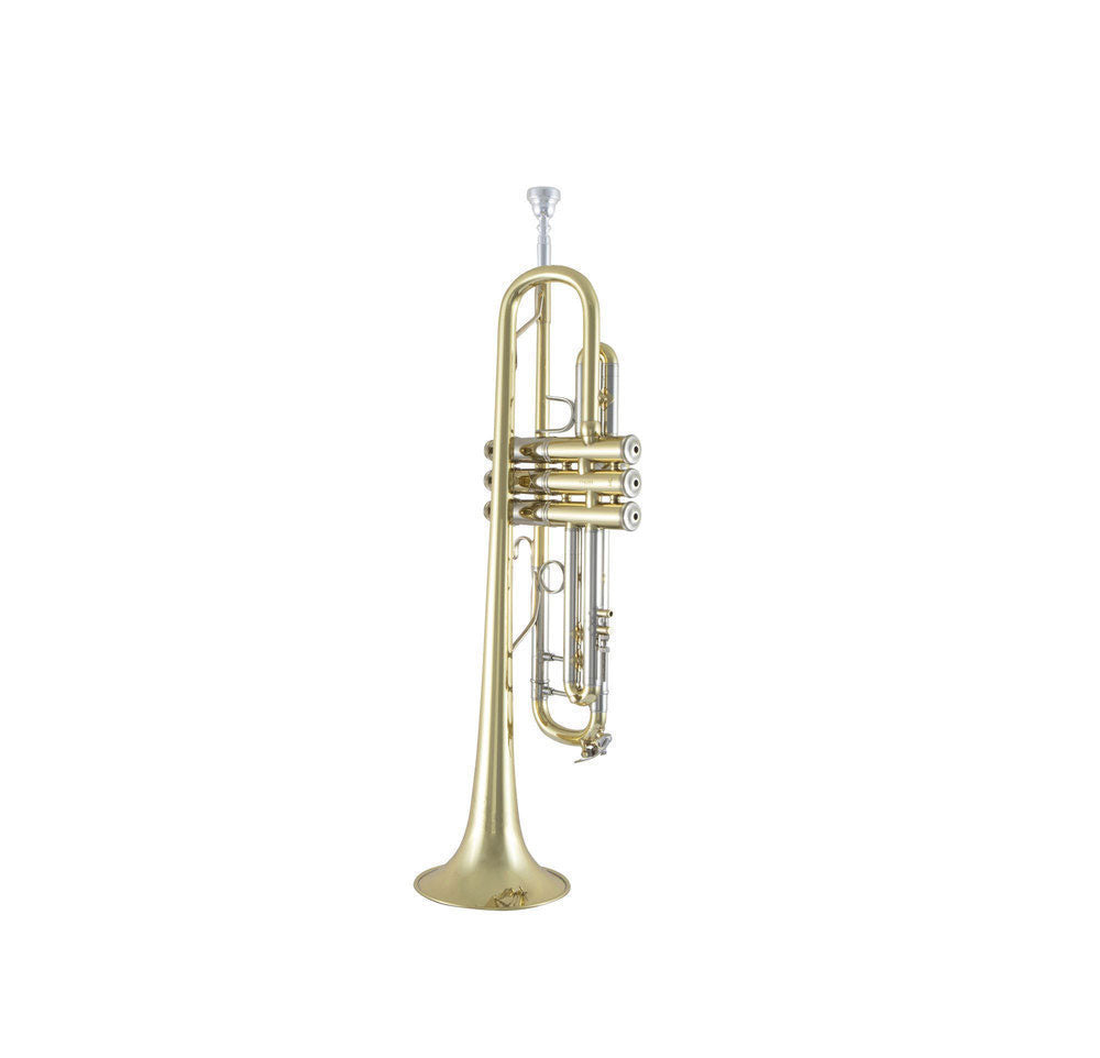 190S43 - Bb STRADIVARIUS LACADO