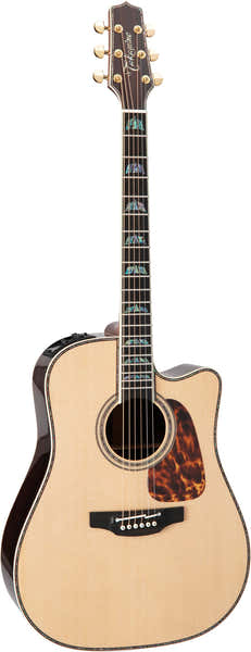 Dreadnought Cutaway Eletro P10DC