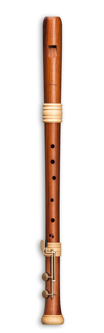 Édition Rêve Tenor TE-4428 - Ameixeira (Digitação Barroca)