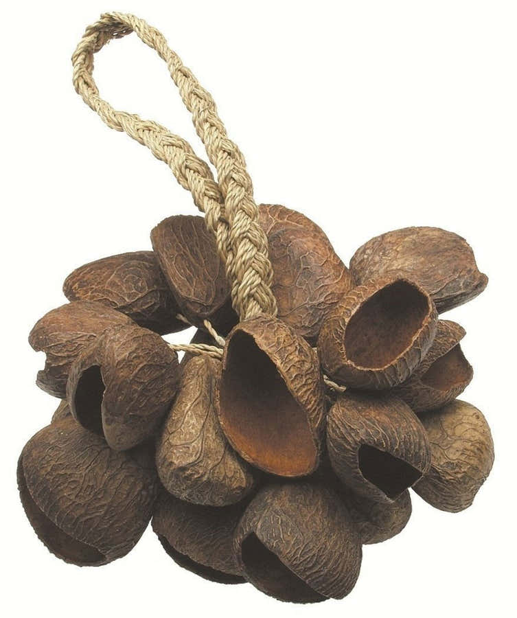 SEED SHELL SHAKER T-SS