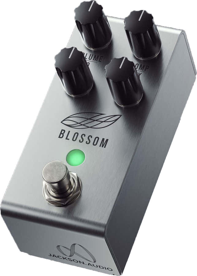 Blossom