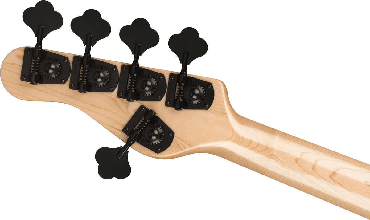 Pro Concert Bass Signature Gladys Adam Blackstone Mn - Recondicionado