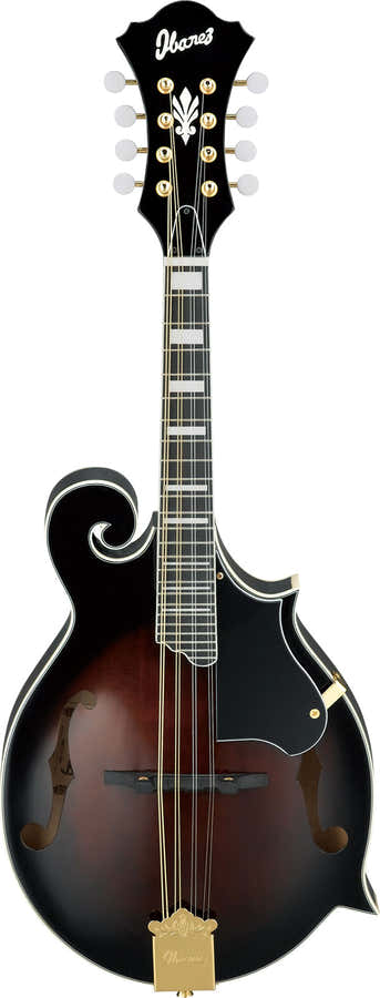 M522SDVS Dark Violin Sunburst High Gloss