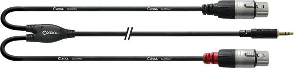Cabo Y Divisor Minijack Estéreo/2 XLR Fêmeas Longos 3 M