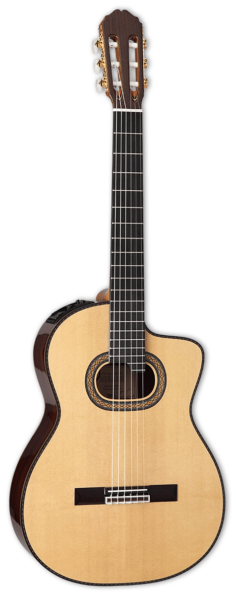 Takamine DH90 Hirade Classique CW Natural