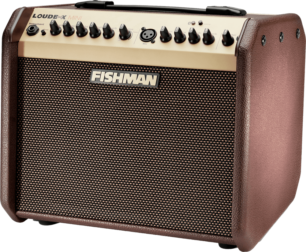 Fishman Loudbox Mini Bluetooth 60W